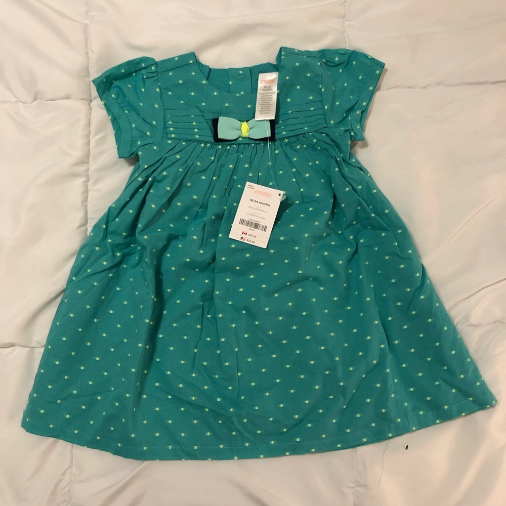 NWT Gymboree Dress